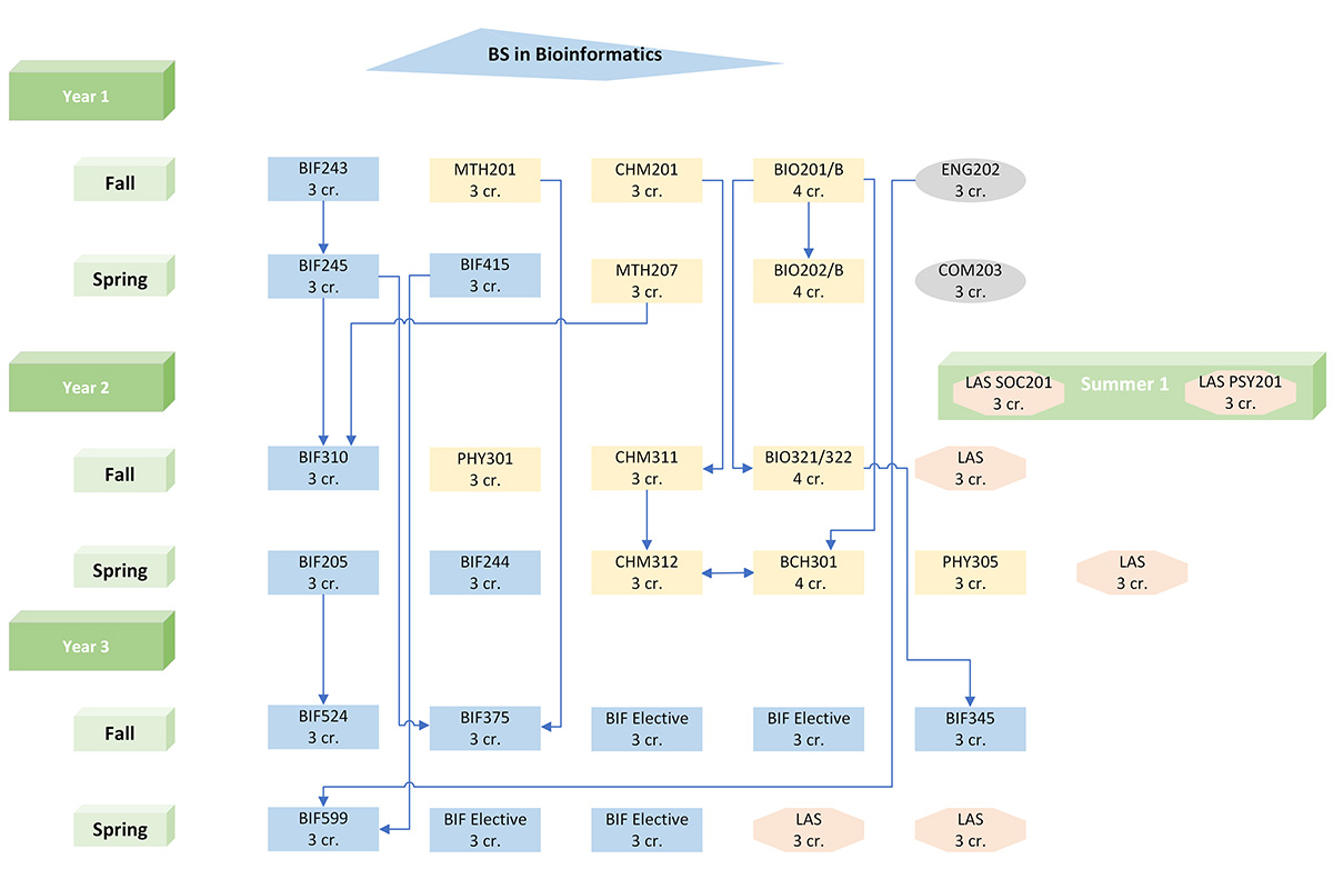 bs-in-bioinformatics-study-plan-flow-chart.jpg